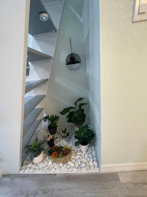 The Tiny Cottage In The Springs/ Central Fl Altamonte Springs Luaran gambar